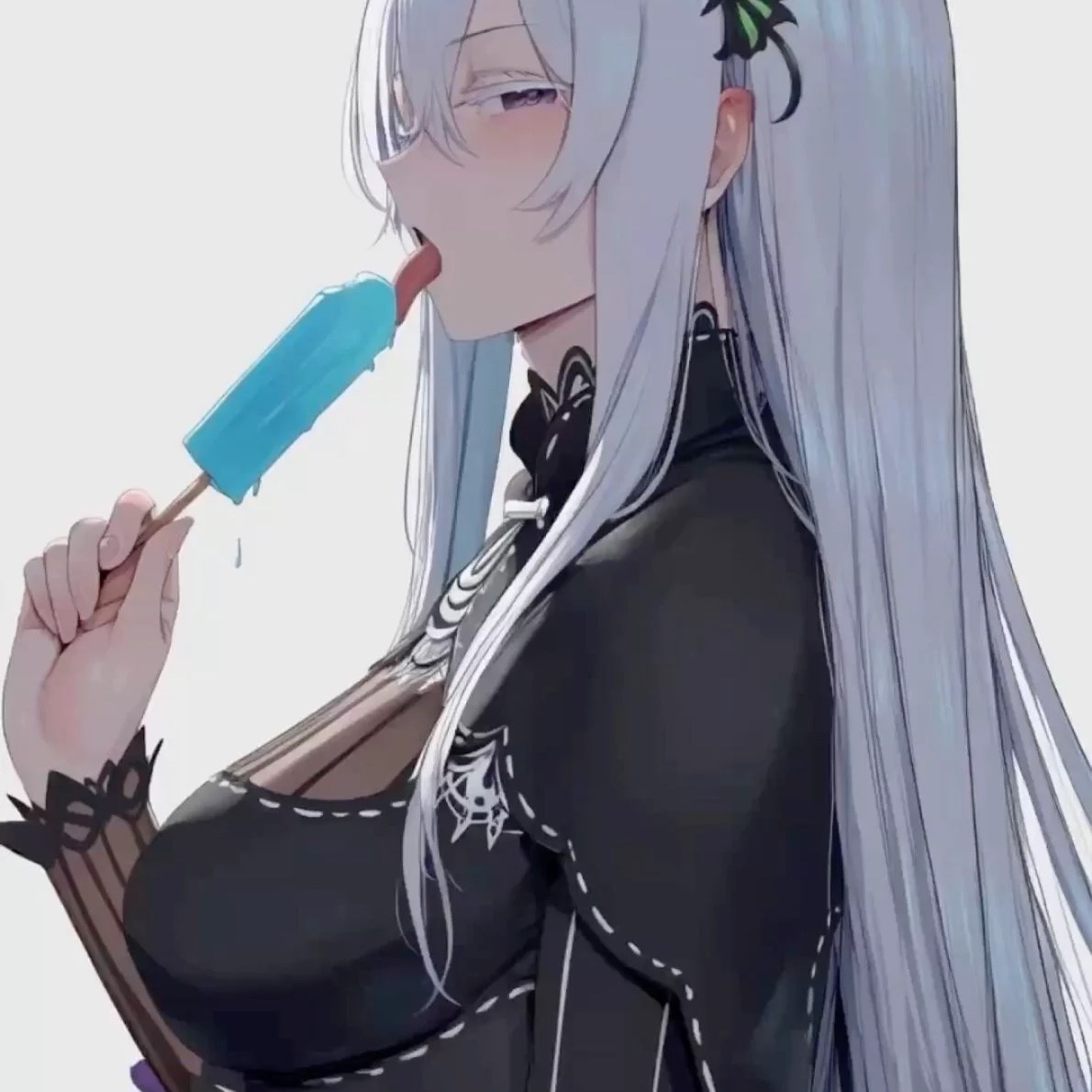 Echidna